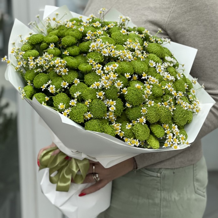 19 зеленых хризантем с ромашкой